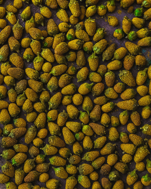 Are Buzz Buttons Safe? Understanding This Natural Botanical 🌼🍸