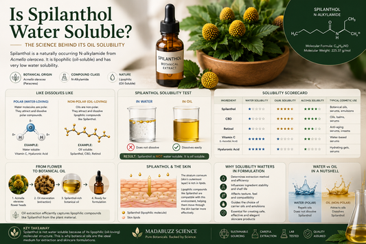 Is Spilanthol Water Soluble?