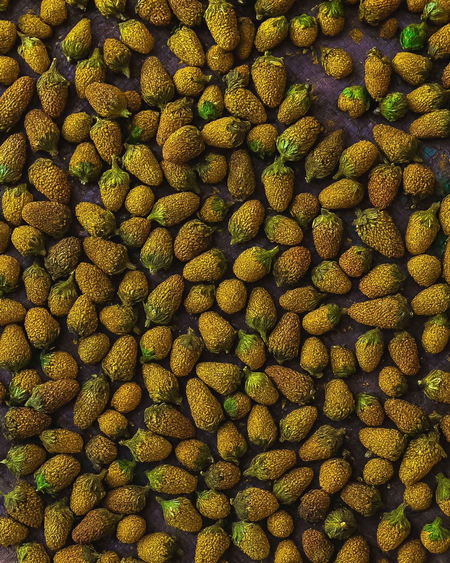 Are Buzz Buttons Safe? Understanding This Natural Botanical 🌼🍸