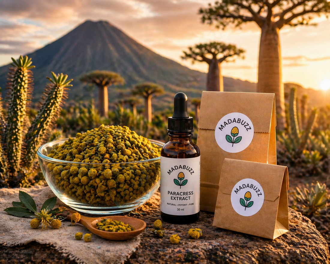 How to Make Your Own Paracress Extract at Home: Powerful Secrets for Maximum Spilanthol Potency