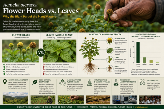 Flower Heads vs. Leaves