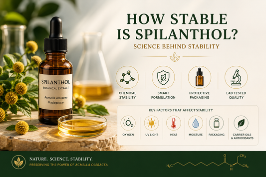 How Stable Is Spilanthol?