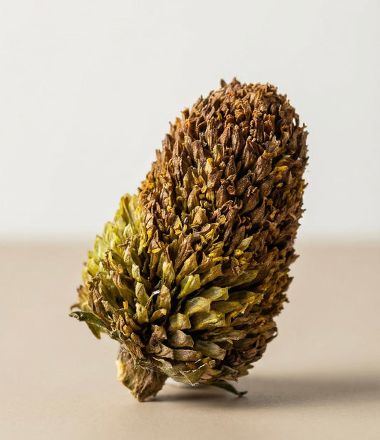 Beyond the Canvas: The Science and Wonder of the Belantis Flower