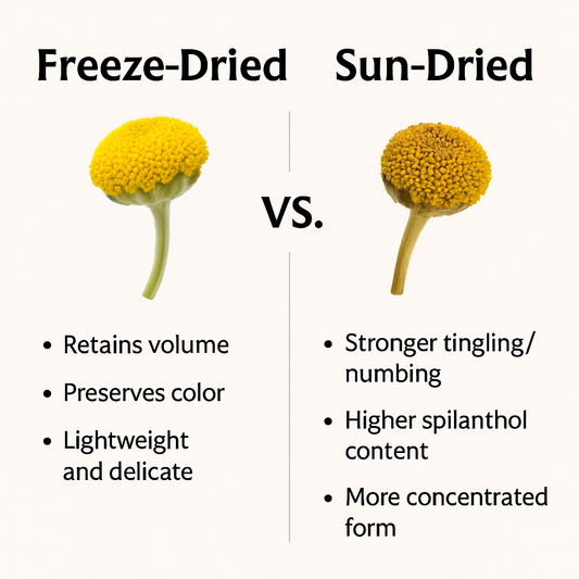 🌿 Why Madabuzz Is Stronger Than Regular Buzz Buttons (e.g. Freeze-Dried Paracress)