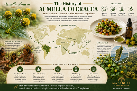History of Acmella oleracea: From Traditional Plant to Modern Botanical Ingredient