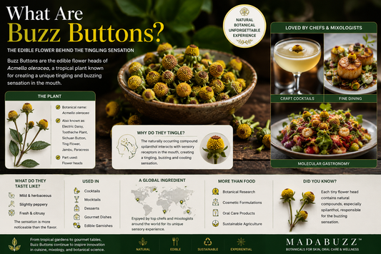 Fresh Buzz Buttons (Acmella oleracea) flowers displayed in a bowl, highlighting the edible flower used in fine dining, craft cocktails, and molecular gastronomy for its unique tingling sensation