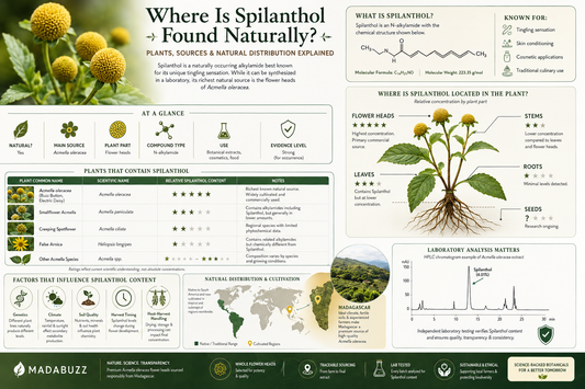 Where Is Spilanthol Found Naturally?