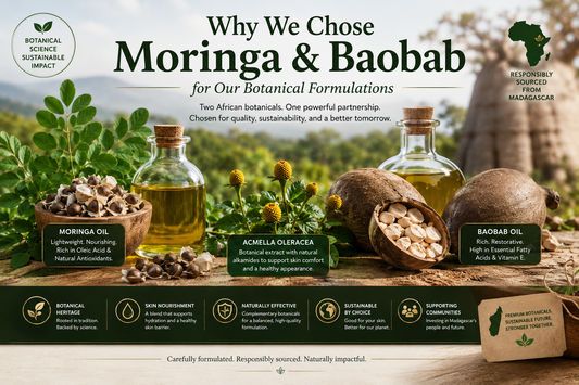 Moringa leaves, Moringa seeds, Baobab fruit, Baobab seeds, and realistic Acmella oleracea cone-shaped flower heads displayed with botanical oils, illustrating the scientifically selected ingredients used in premium natural skincare formulations