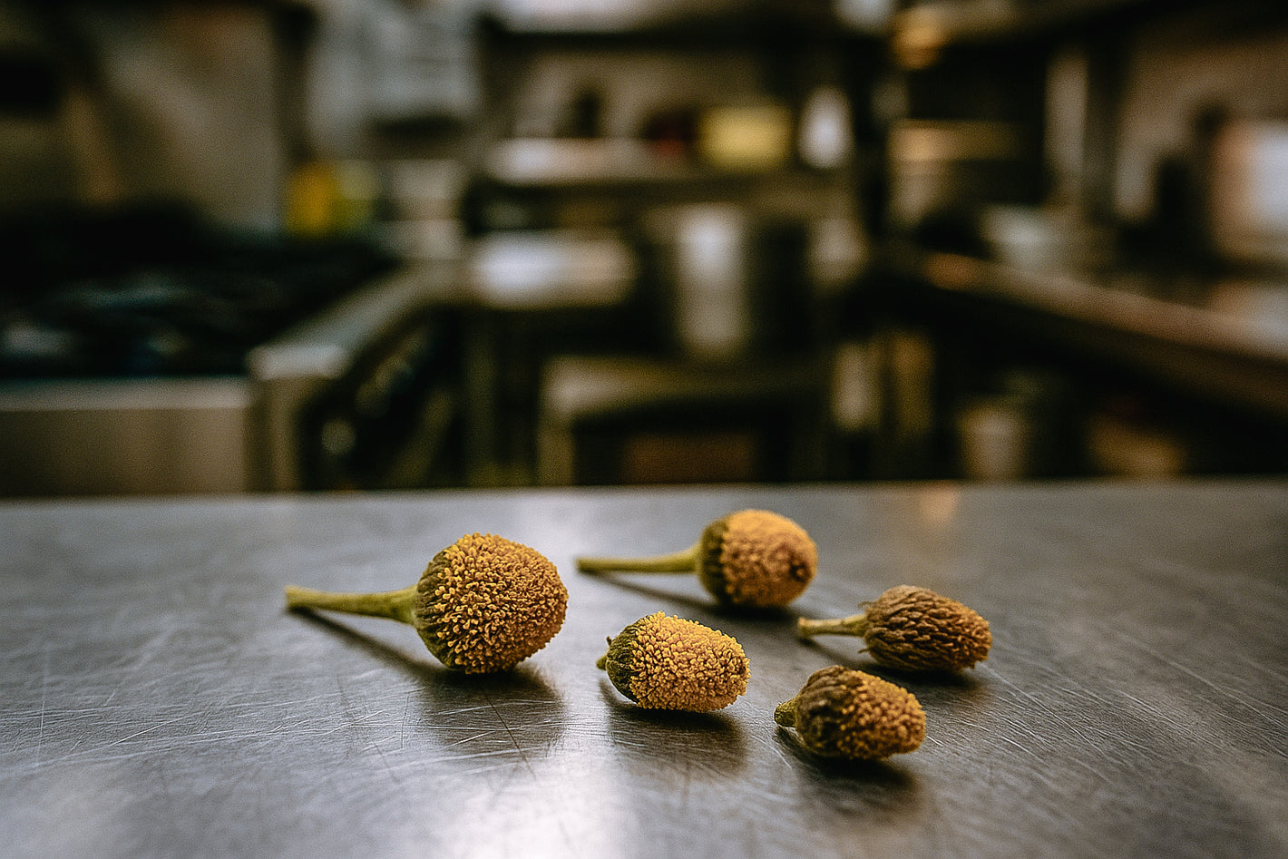 Madabuzz_Review_Chef_Laura_May_2025_Restaurant_Thiel_New_York_USA_Paracress